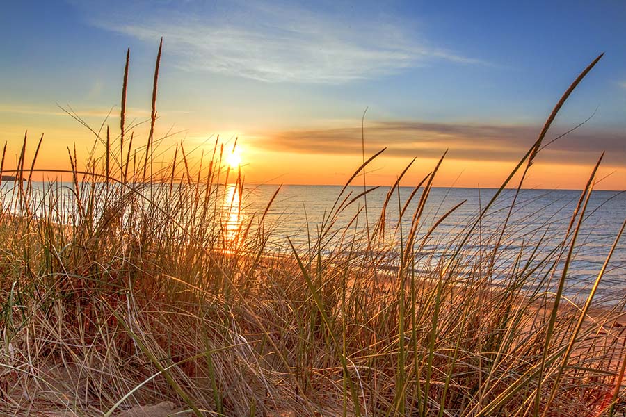 Insurance Quote - Closeup of Tall Grass Next to the Sand on the Coastline of a Lake in Michigan with a Colorful Sunset Sky