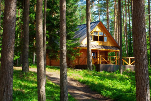 Cabin in the woods